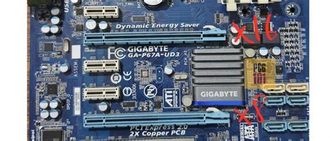 Can a PCIe x8 Card Fit in x16 Slot: Complete Guide .
